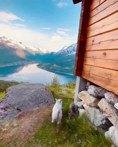 🔥 A backyard view in Norway