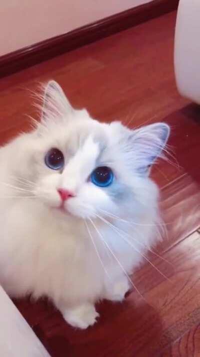 Those eyes