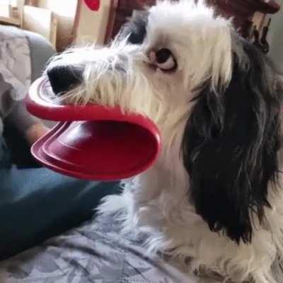 Frisbee Lips