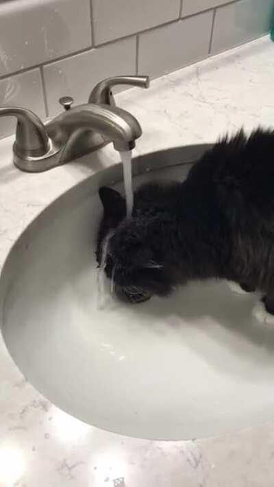 drinking bathroom sink water reddit