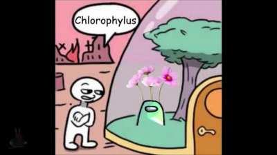 When the imposter uses photosynthesis!