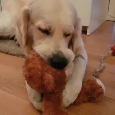 This is Nacho. He likes to snuggle his teddybear when he’s sleepy. ❤️