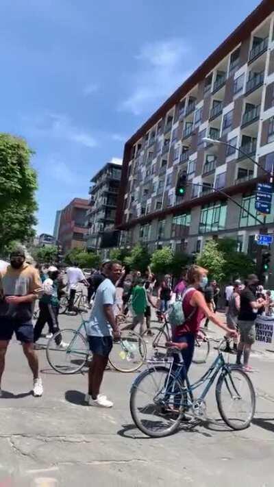 WCGW if I drove straight through a wall of protesters?