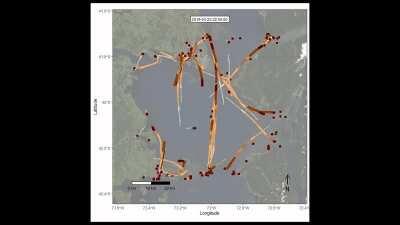 Satellite time-lapse animation/visualization showing a Blue Whale avoiding ships in Chile