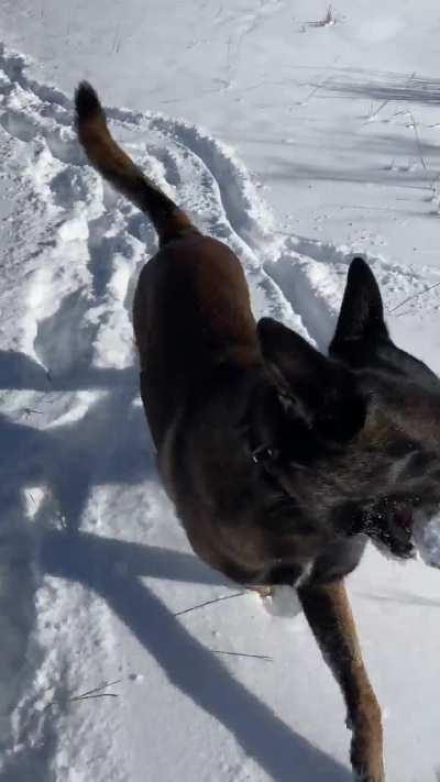 Mother, Throw This Stick I Found