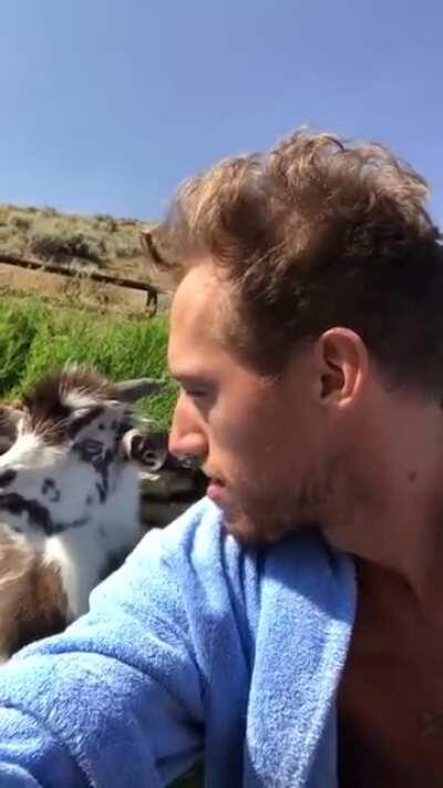 Man argues with baby goat