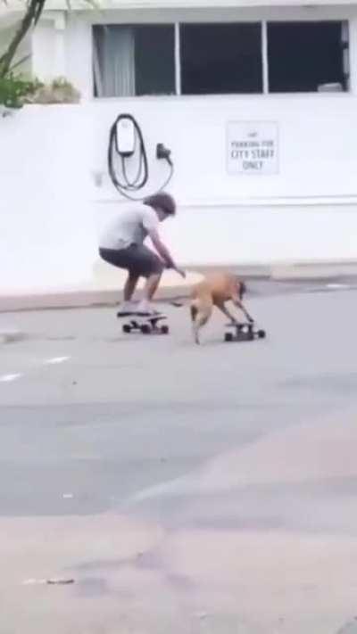 Skateboarding Duo