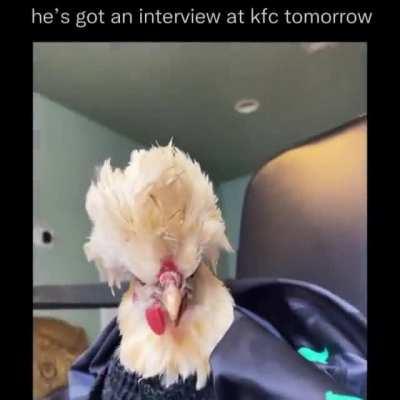 He got an interview at kfc tomorrow