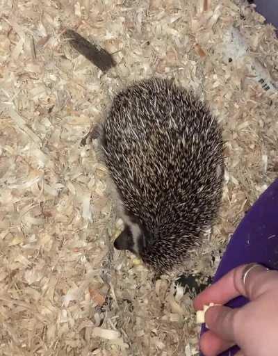 Otis kisses ð¥°ð¦