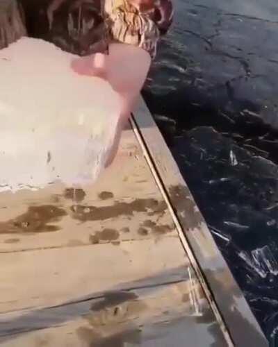 The way the ice breaks is so satisfying