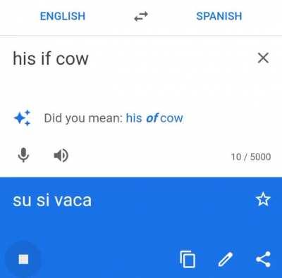 Google Translate kinda sus