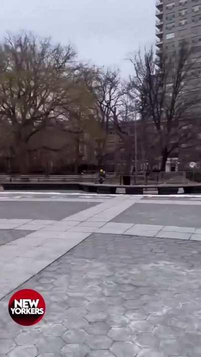 New Yorker controlling the pigeons in Washington Square Park!