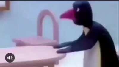 Noot Noot