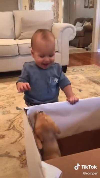 Adorable Baby reacts to first puppy!