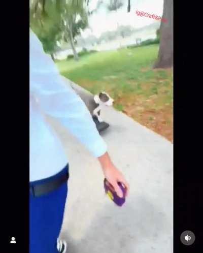 The way this dog controls a onewheel *sound off* 
