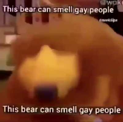 😎This bear can smell retards😳