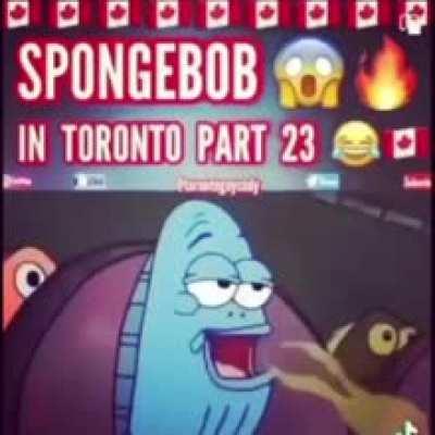 spongeb torrents freee 2021