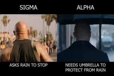 Morning routine of Sigma vs Alpha's