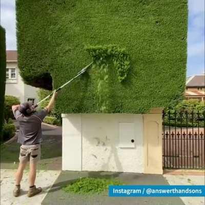 Satisfying hedge