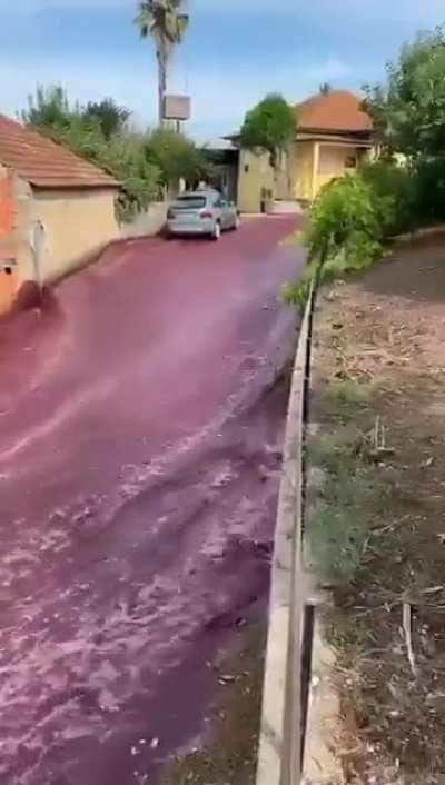 The streets of Levira, Portugal were flooded with red wine after a distillery’s 2.2 million liter tanks burst.