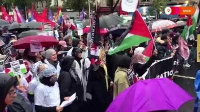 Huge pro-Palestine protests all over Europe demand an end to Israel's genocide in Gaza