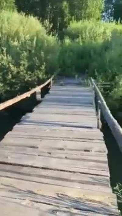 Doin a burnout on a small bridge