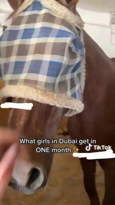 I'm not like american girls i have a rich dubai man🥺