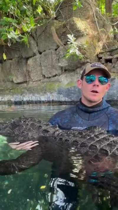 Man explains why this alligator won’t kill him