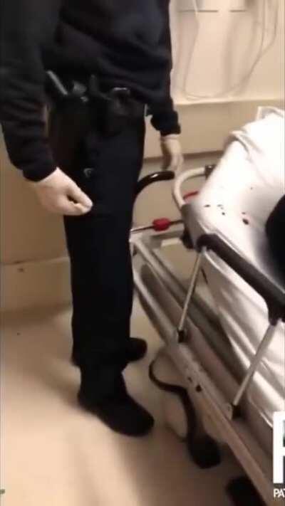 Two cops film themselves assaulting suicidal man in hospital bed.