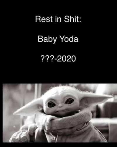 Baby Yoda dies hehehehe