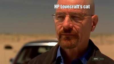 Hp lovecraft's cat