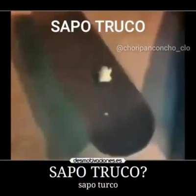 Se ve bien fresco el sapo😎