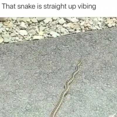 He do be vibing