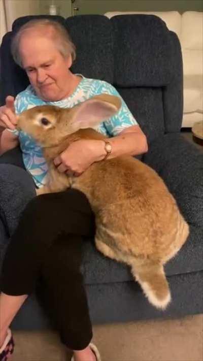 Big bun makes a nan's day!