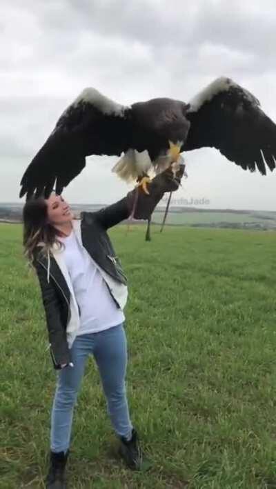 The sheer size of this eagle