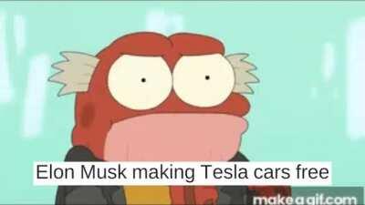 Yes Elon for the memes...