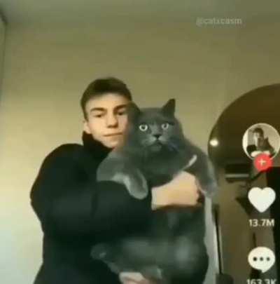 Biggest Cat