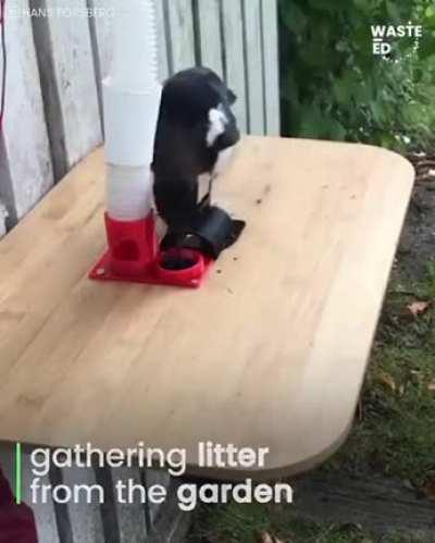 Bird feeder accepts bottle caps for food.