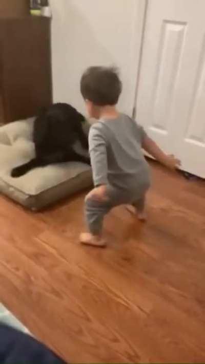 Dog v Kid