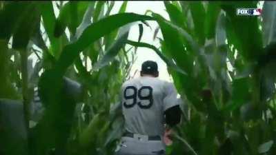 The Yankees and the White Sox emerge from the cornfield for the Field of Dreams Game