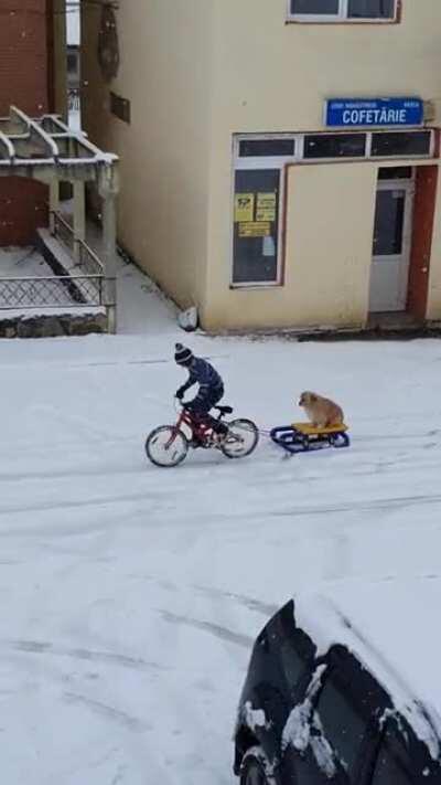 Kid from Romania enjoying the snow with his dog :)