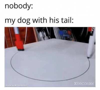 tail TAILS