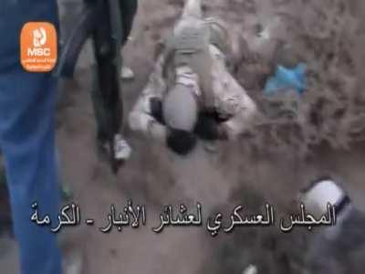 Iraqi soldier killed by militants of the GMCIR (General Military Council for Iraqi Revolutionaries), Anbar Province - January 2014