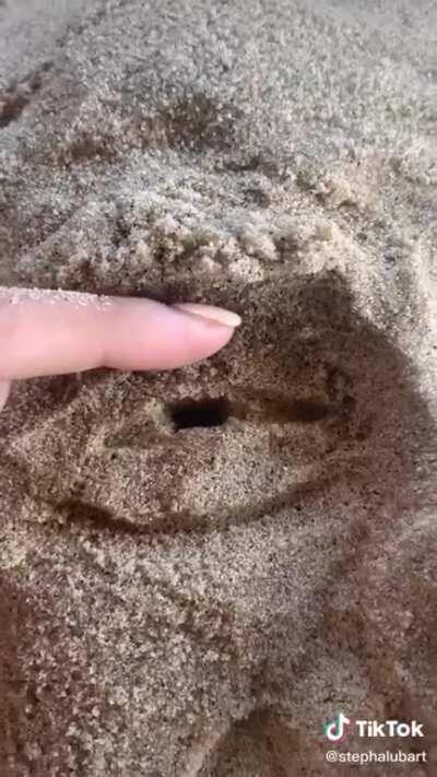 Danny DeVito sculpted in the sand