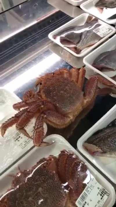 “How fresh is our seafood?”