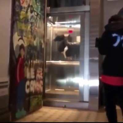 WCGW If I backflip on an upwards moving elevator