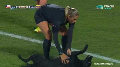During the Chile vs Venezuela soccer game a good dog runs on to the field and demands belly rubs from the players