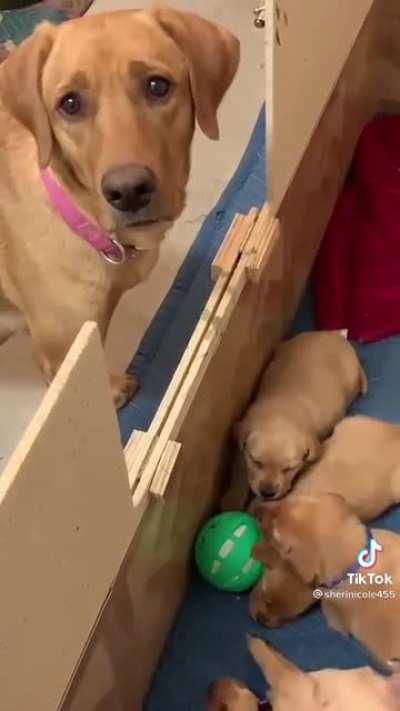 Mom wants to play with her babies