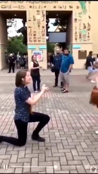 Couple proposes to each other at the same time