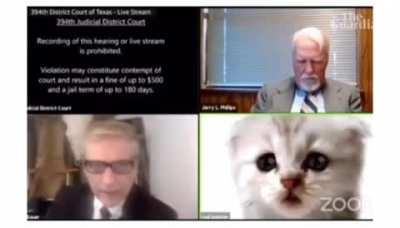 Cat Filter Lawyer Doesn't Know How To Take Cat Filter Off